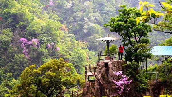 南阳西峡十大旅游景点