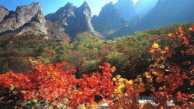 大山美景的诗句有哪些