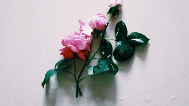 写一篇关于关爱的作文