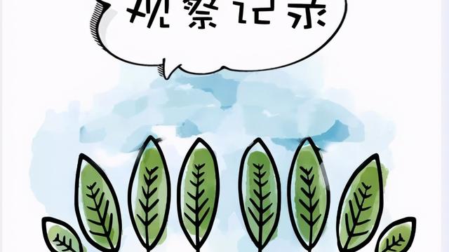 托班观察记录（精选）