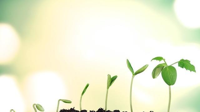 提高高中物理成绩的方法技巧