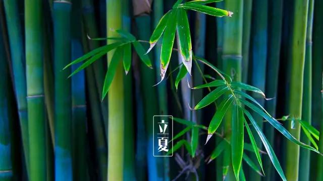 立夏诗词佳句