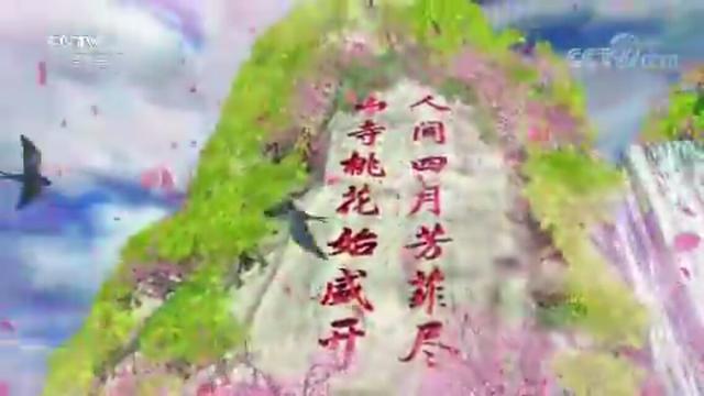 学校诗词大会主持