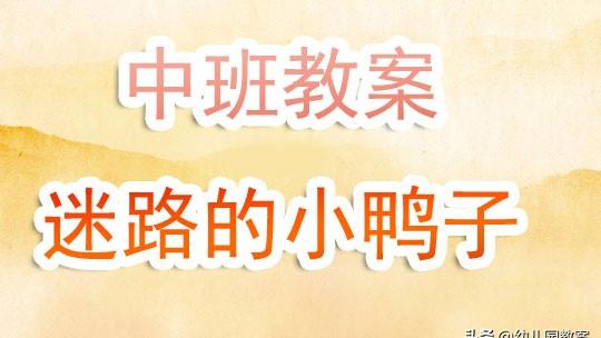 大班迷路的小花鸭教案合集