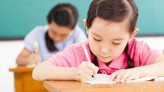 【推荐】夸夸小学作文汇总