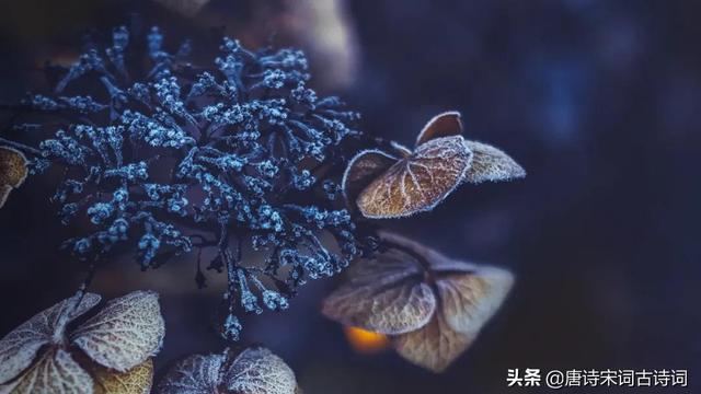 描写南方的冬天的句子精选
