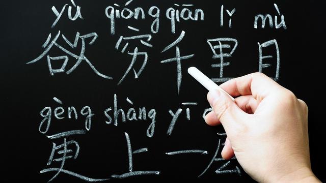 高三语文教学计划精选