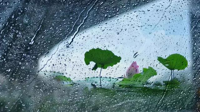 阵雨作文30个字