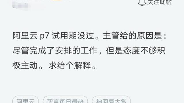 程序员试用期转正工作总结