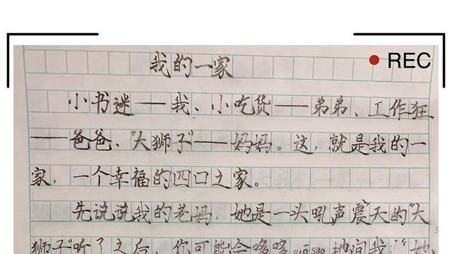 【热门】小学二年级作文300字集锦五篇