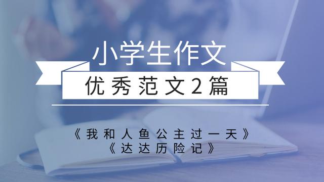 网鱼作文100字