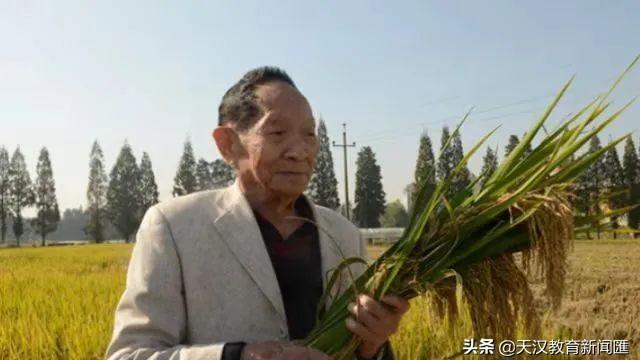 给偶像袁隆平的一封信（精选）