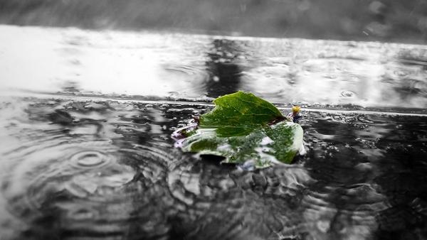 朋友圈下雨的心情说说 