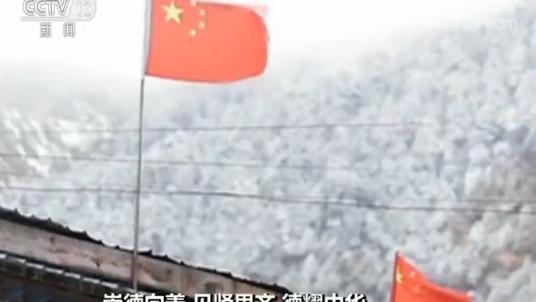道德模范的事迹材料精选