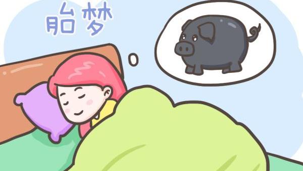 孕妇梦见猪代表什么