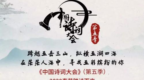 清欢阅读答案100题