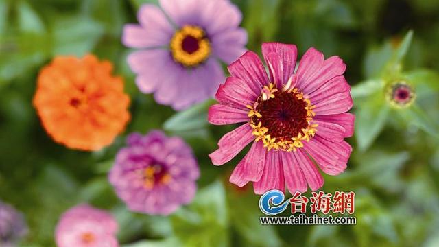 十月再见朋友圈文案精选