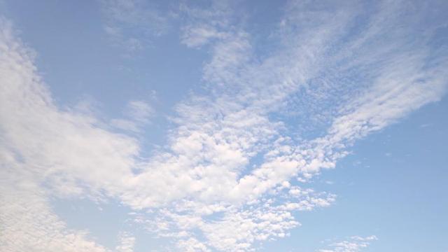 摘柿子作文