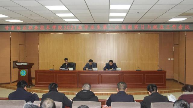 师范生顶岗实习工作总结