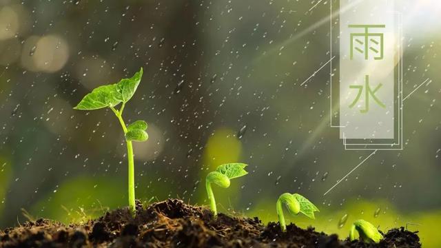 赞美春雨的诗句