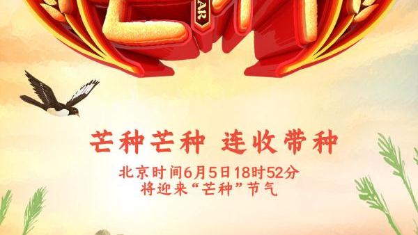 芒种收麦子的诗句