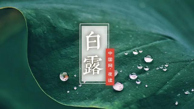 白露时节文案句子简短干净大全