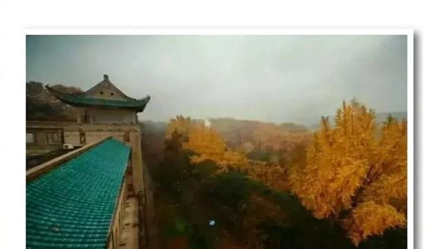 古诗词大全600首自古逢秋悲寂寥