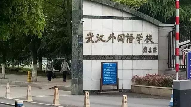 武汉寄宿小学学校有哪些