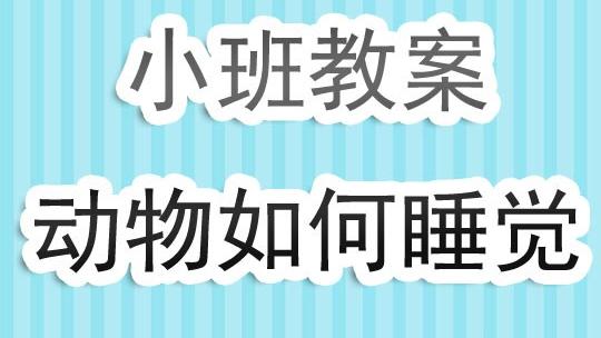 动物是怎样睡觉的大班教案反思