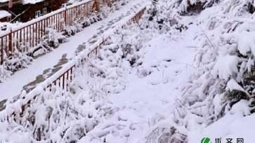 那个下雪天作文精选
