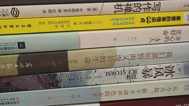 《另一扇窗》读后感精选