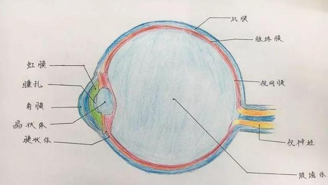 功能眼镜大多不靠谱