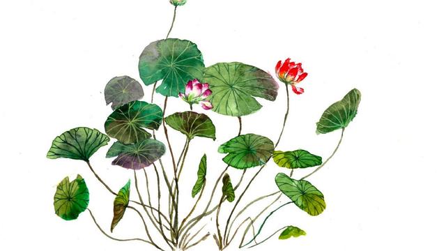 描写夏天的优美诗句摘抄