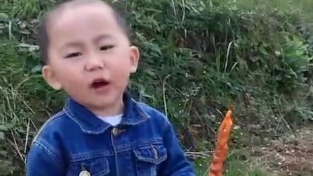 盘子打碎之后优秀作文