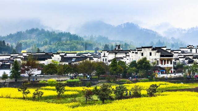 美丽乡村作文