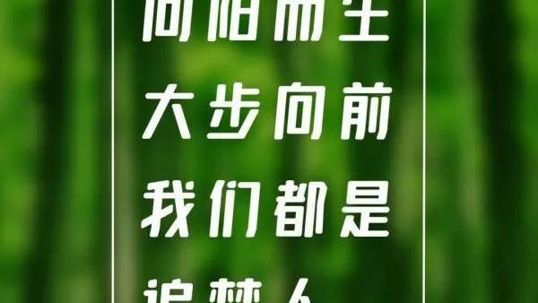 【实用】唯美情感句子摘录