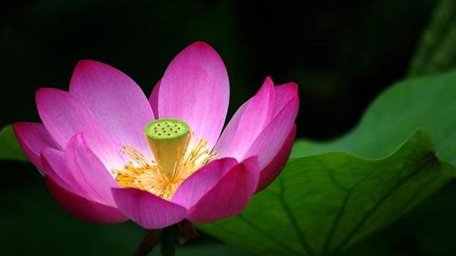 做个狠心的人经典句子通用