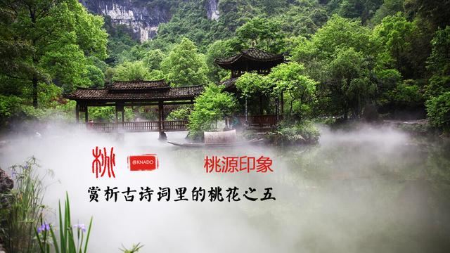 桃花古诗名