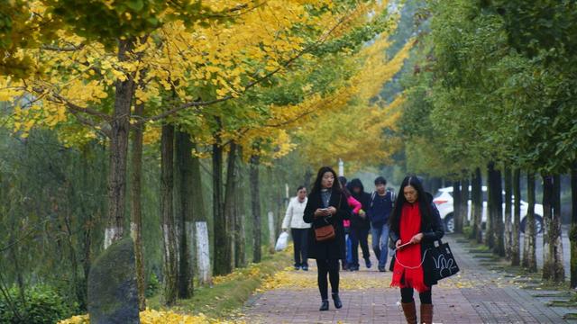 大学生秋游活动的策划书