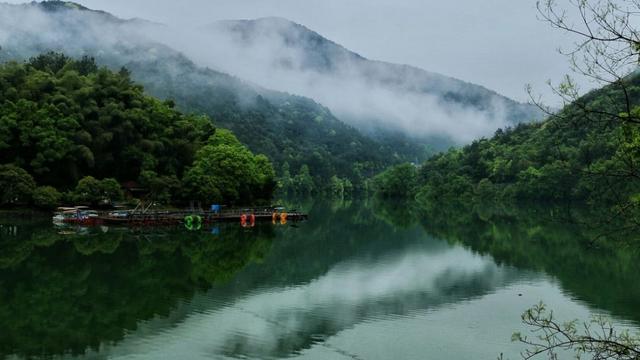 与朱元思书最新课文翻译