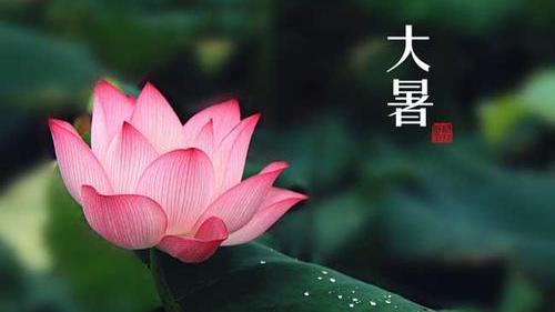 大暑节气七律祝福诗词