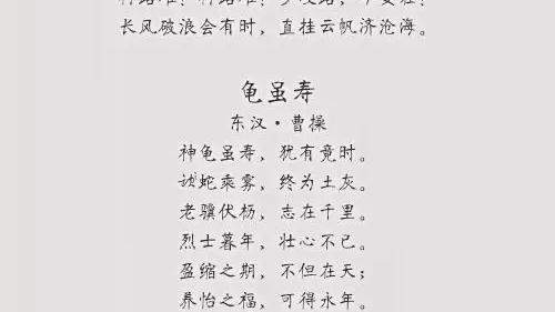 励志的诗句霸气唯美适合中学生