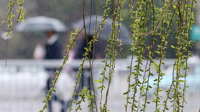 春风春雨作文
