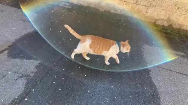 气质文艺的微信签名