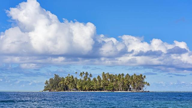 蓝色的海豚岛读后感