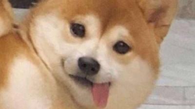 搞笑说说评论