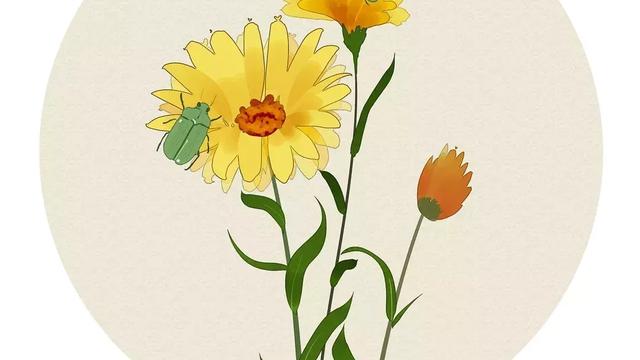 关于描写夏天的古诗词大全