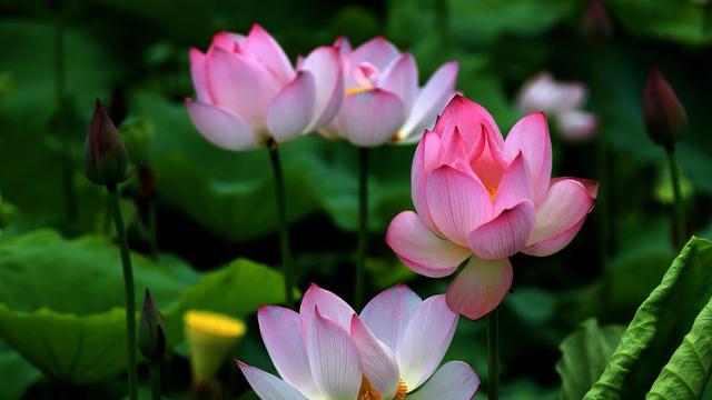 时令节气相关的诗句