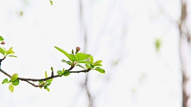 用时机已经成熟了造句
