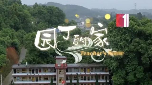 读《叮当的魔法Ⅱ》有感